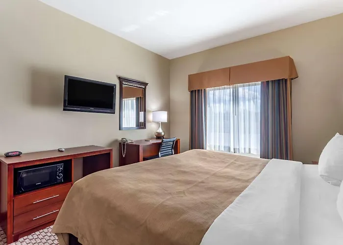 Comfort & Area Hotel