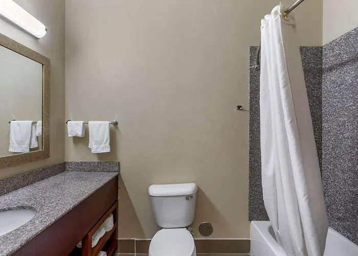 Hotel Comfort & Area