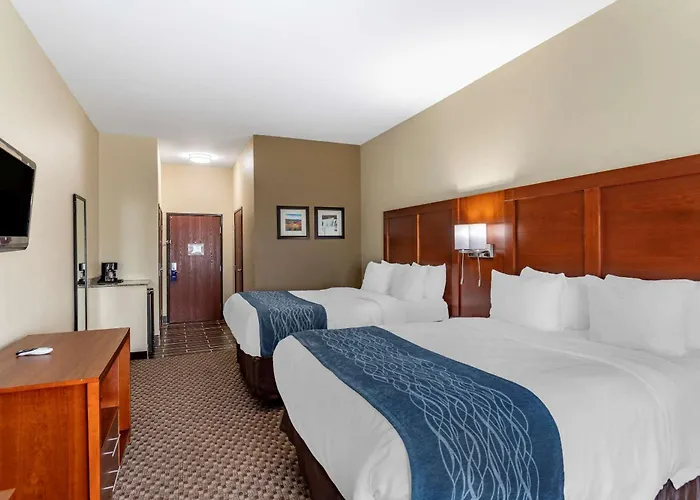 Comfort & Area 3* Carbondale