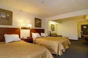 Hotel Comfort & Area