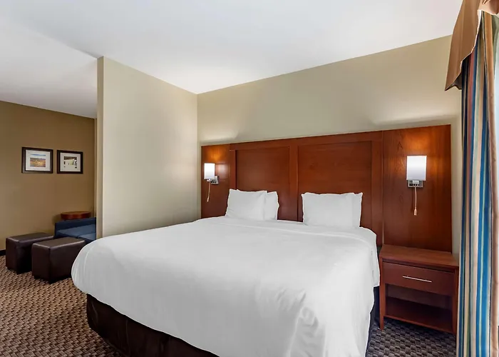 Comfort & Area Hotel