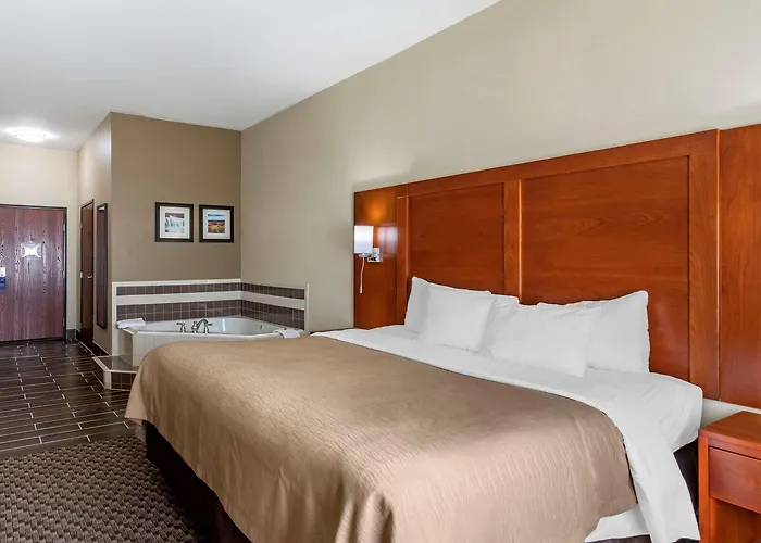 Comfort & Area 3* Carbondale