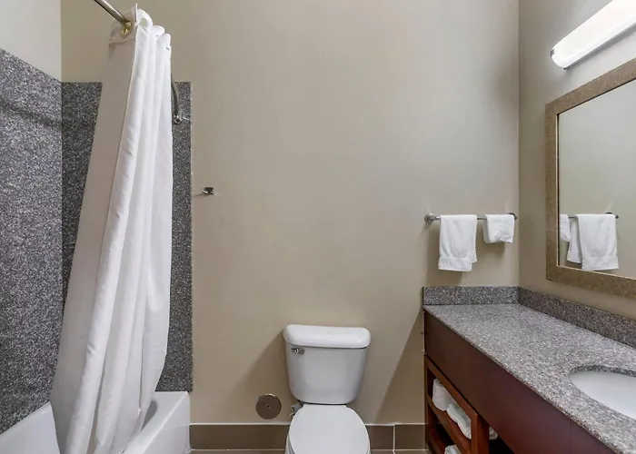 Comfort & Area Hotel