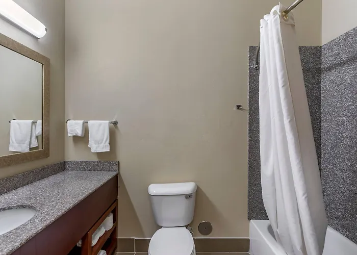 Comfort & Area Hotel
