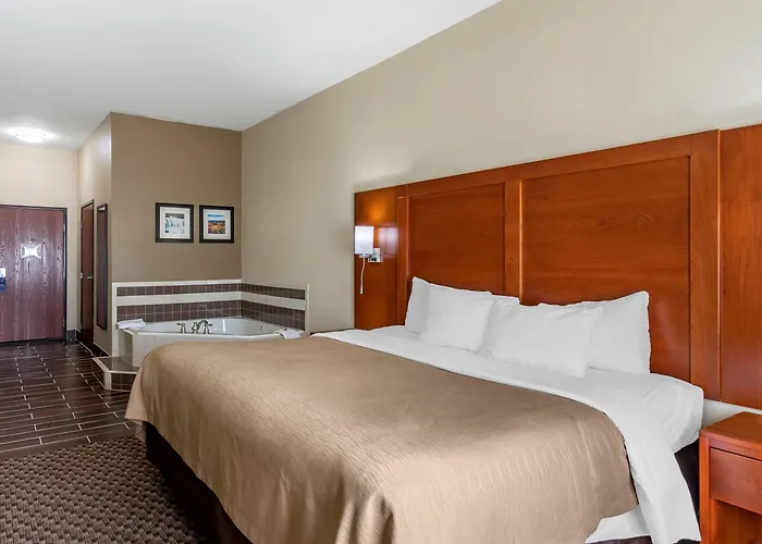 Comfort & Area 3* Carbondale