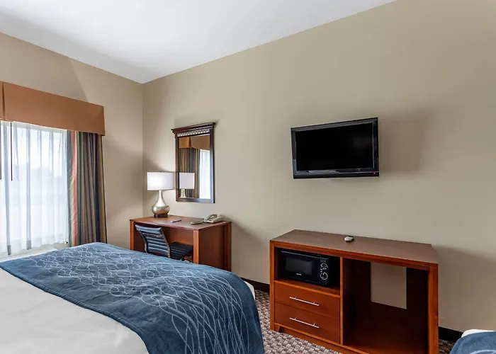 Comfort & Area Carbondale