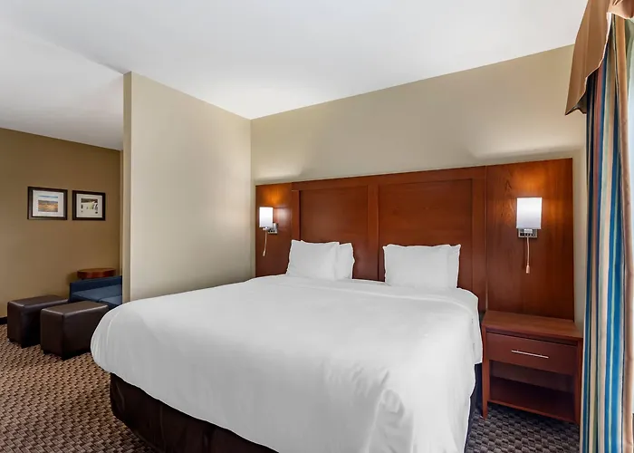 Comfort & Area Hotel